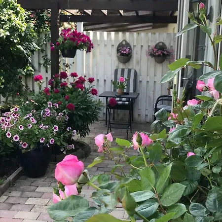 Dadas Bed & Breakfast Store Heddinge